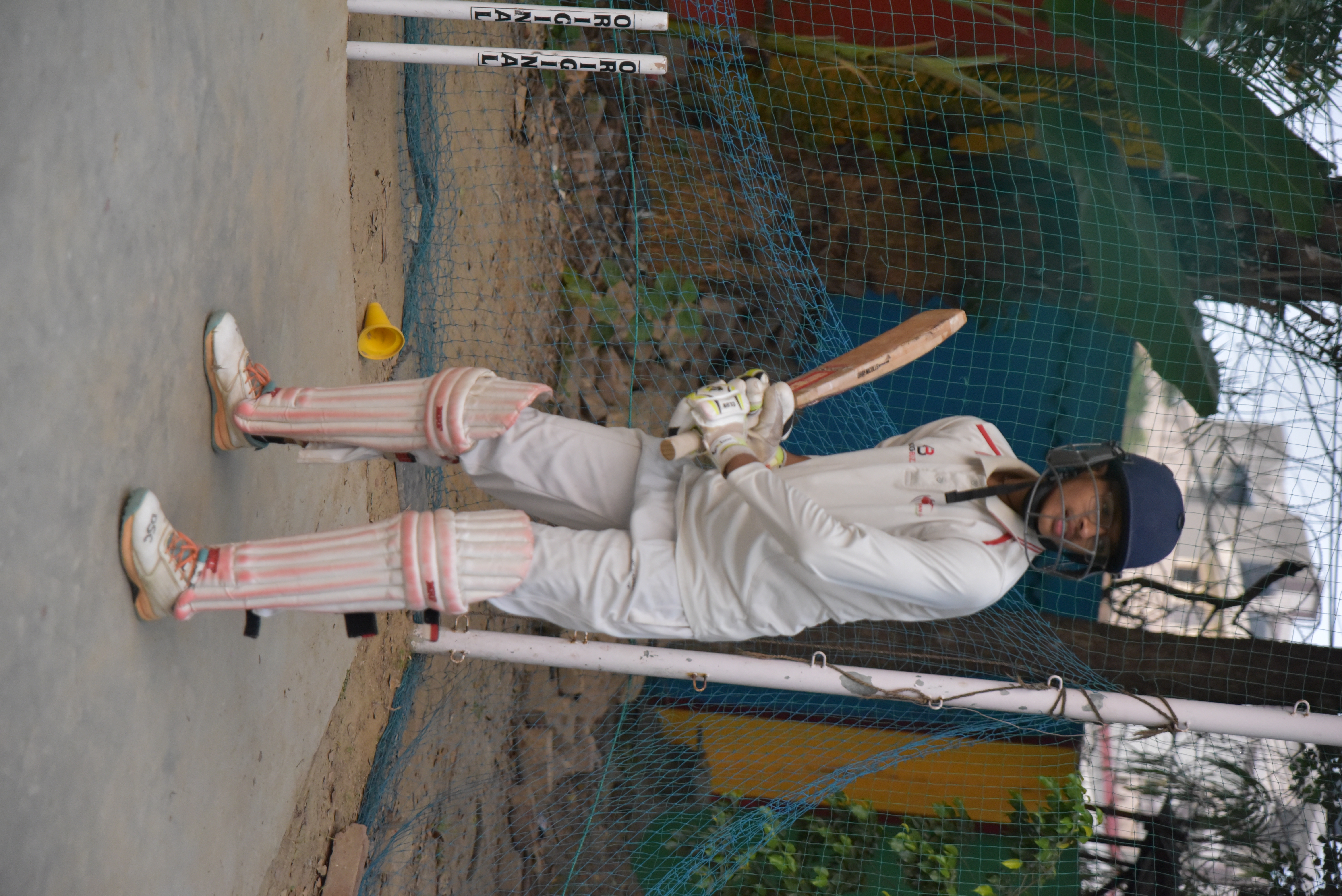 Cricket